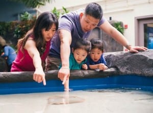 Dads enjoy 50 percent off admission to Point Defiance Zoo and Aquarium this Father's Day. Photo courtesy of Point Defiance Zoo and Aquarium.