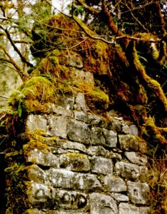 The short walk to Melmont involves mud and slopes, but it's well worth the effort to see the foundations of  key buildings of the former mining town. Photo credit: Steve Dunkelberger. 