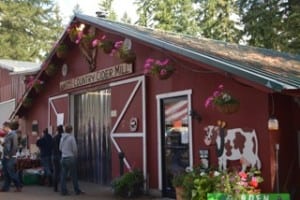 lattins cider mill