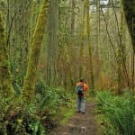 Island center forest park