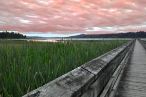 Beautiful Hood Canal Sunset from a boardwalk at the Theler Wetlands Nature Preserve in Belfair. Photo courtesy: Theler Wetlands Nature Preserve.