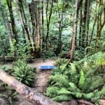 Puget Park