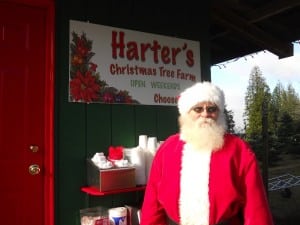 Pierce County Christmas tree farms