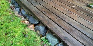 Spring-Green Lawn Care moss control