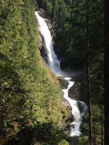 The moderately-rated Wallace Falls Trail packs a lot of beautiful sights into a relatively short hike.