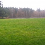 The water at Bradley Lake Park
