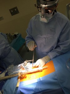 Oly Ortho robotics