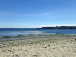 At KVI beach, you’ll have fun playing in the sand, exploring the sand bar at low tide, and taking in the scenery of the sound and mountains.