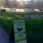 Exploring Vashon Farm Stand