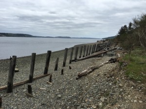 Only one and a half miles from the Sesqualitchew Creek trail head, this secluded stretch of beach is fun to explore with the whole family.