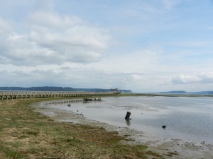 Nisqually Wildlife Refuge