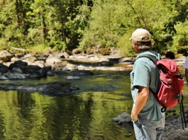 Nisqually Wildlife Refuge