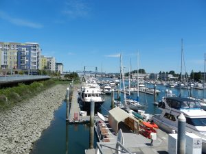 Dock Street Marina