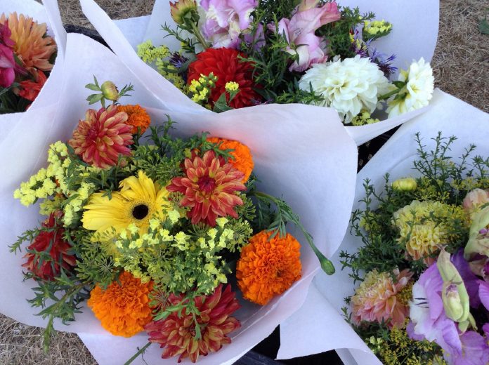 Tacoma Farmers Market