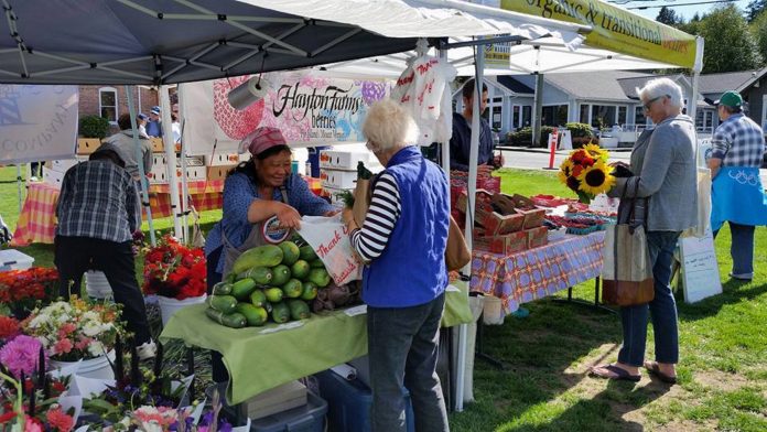 Pierce County Farmers Markets