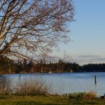 swimming hole spanaway park