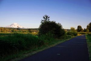 Mount Rainier is visible from many parts of the trail and provides scenery that's pretty inspiring to enjoy on your hike or bike ride. Photo credit: Kristin Kendle. 