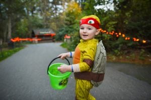 Hoot 'n' Howl @ Northwest Trek Wildlife Park | Eatonville | Washington | United States