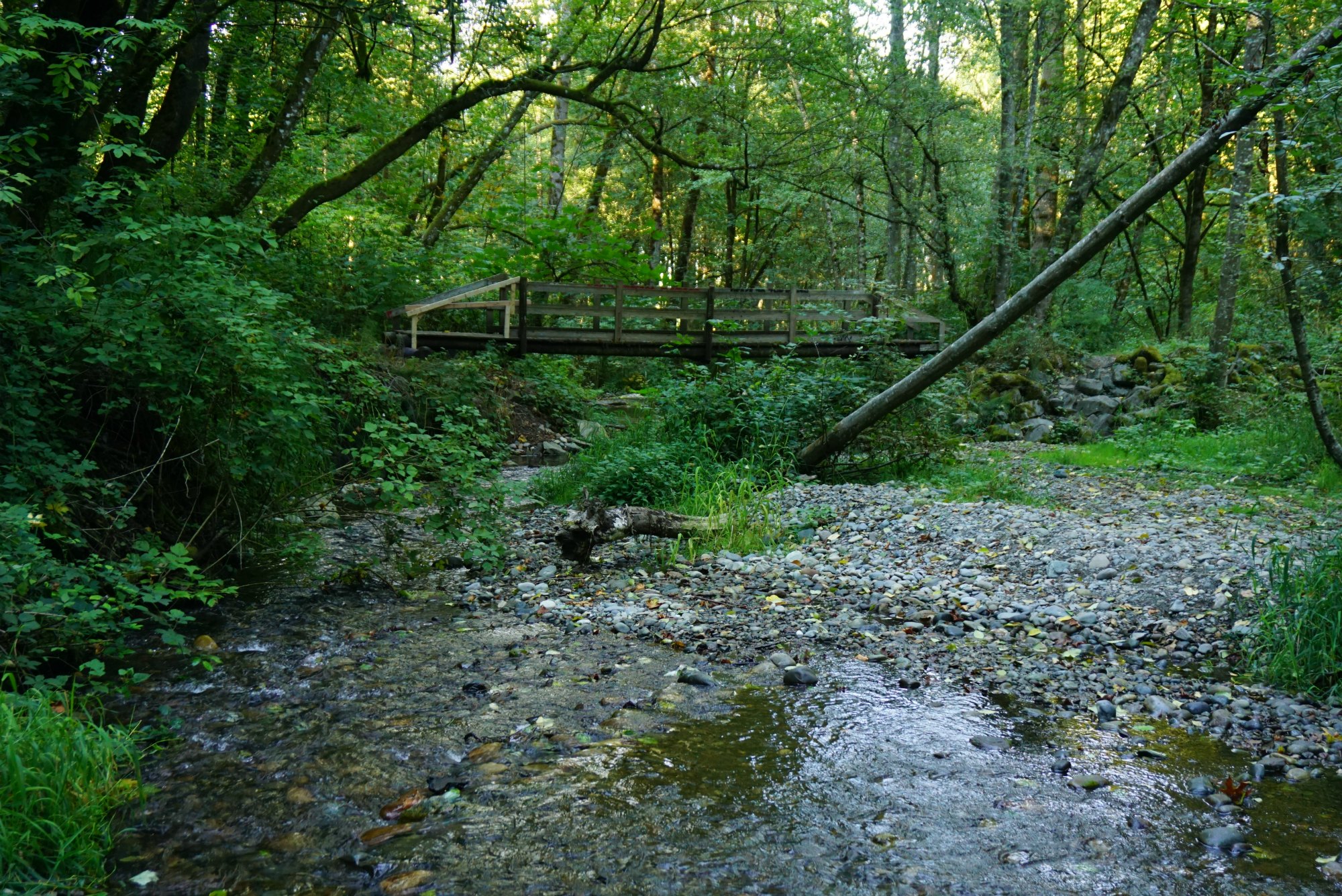 Swan Creek Hiking Trails