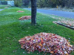 Spring-Green Lawn Care