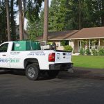 Lawn Care Tacoma