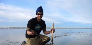 Digging razor clams