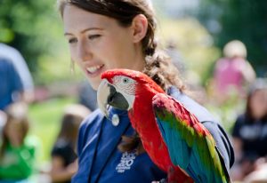 Point Defiance Career Day