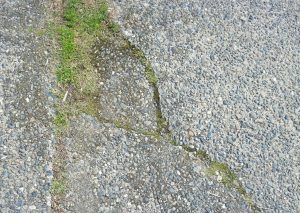 Cracks in the driveway