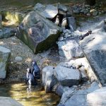 Point Defiance Zoo & Aquarium 7