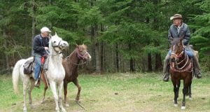 Riding Horses in South Sound 