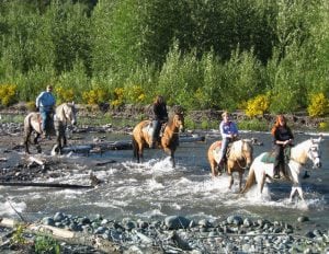 Riding Horses in South Sound 