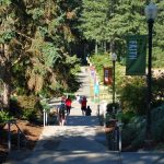 15-Saint Martin’s University 2017DSC_0297