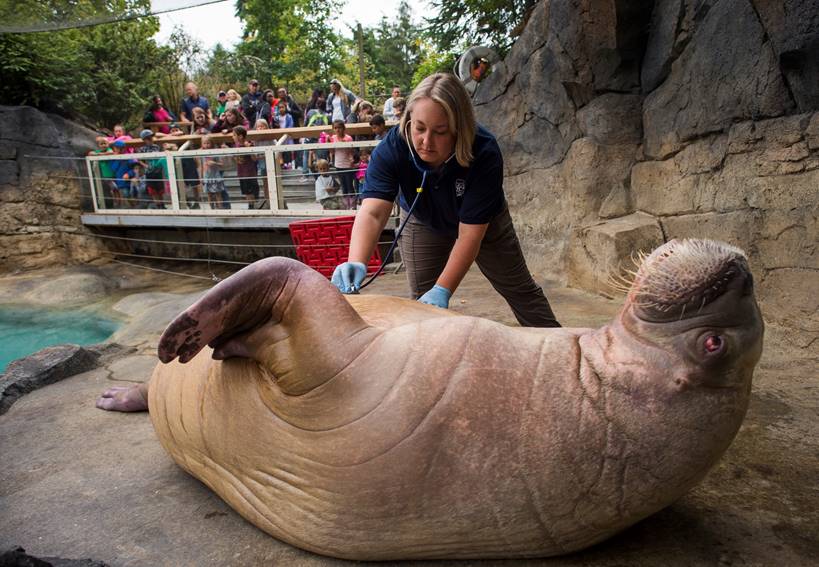 Point Defiance Zoo & Aquarium