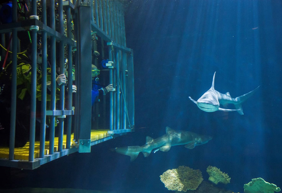 Point Defiance Zoo & Aquarium