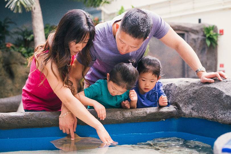 Point Defiance Zoo & Aquarium