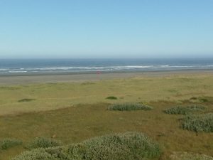 quinault beach fall