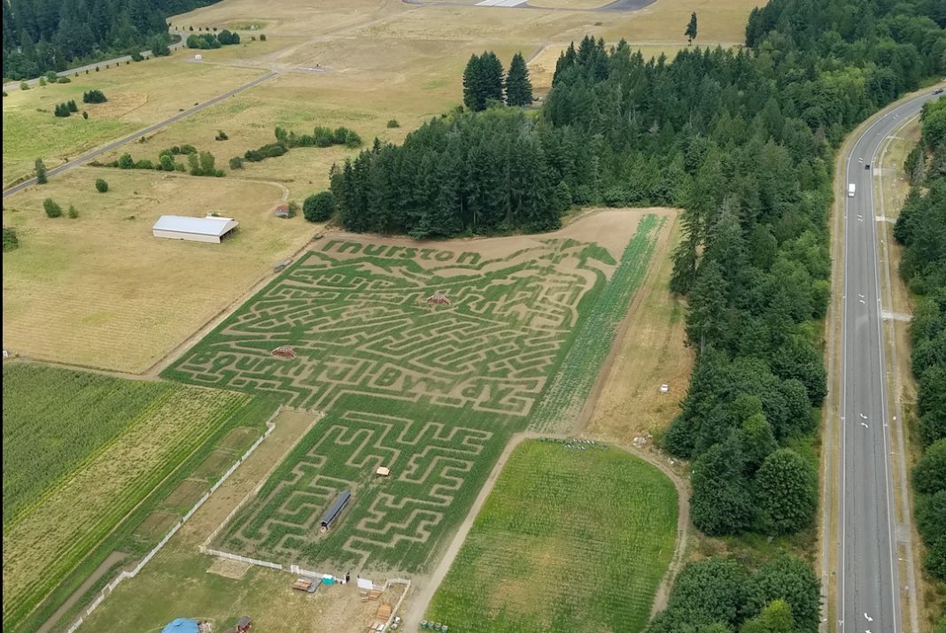 Rutledge Corn Maze