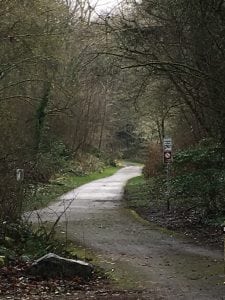 Thurston County Trails