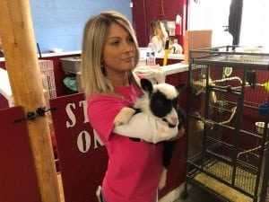 Indoor Petting Zoo Employee and Little Lamb