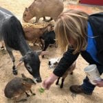 Marta Betts feeds animals