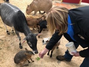 Marta Betts feeds animals