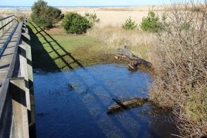 Quinault Beach Resort Spring Fling