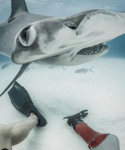 Mike Coots self-portrait with hammerhead