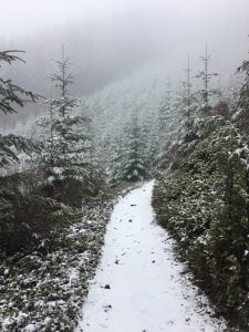 Rock Candy in snow