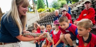 Point Defiance Zoo Camps