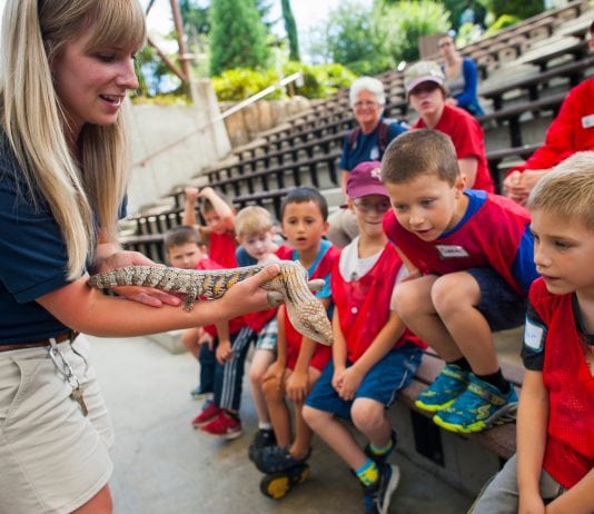 Point Defiance Zoo Camps