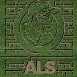 Schilter Family Farm Maze