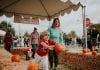 Harvest Festival Fife