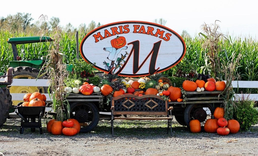 Maris Farms