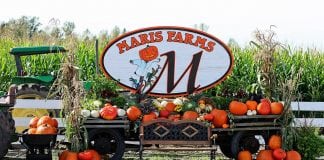 Maris Farms